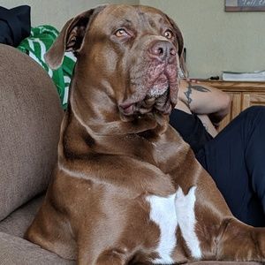 Meet your Posher, Jill